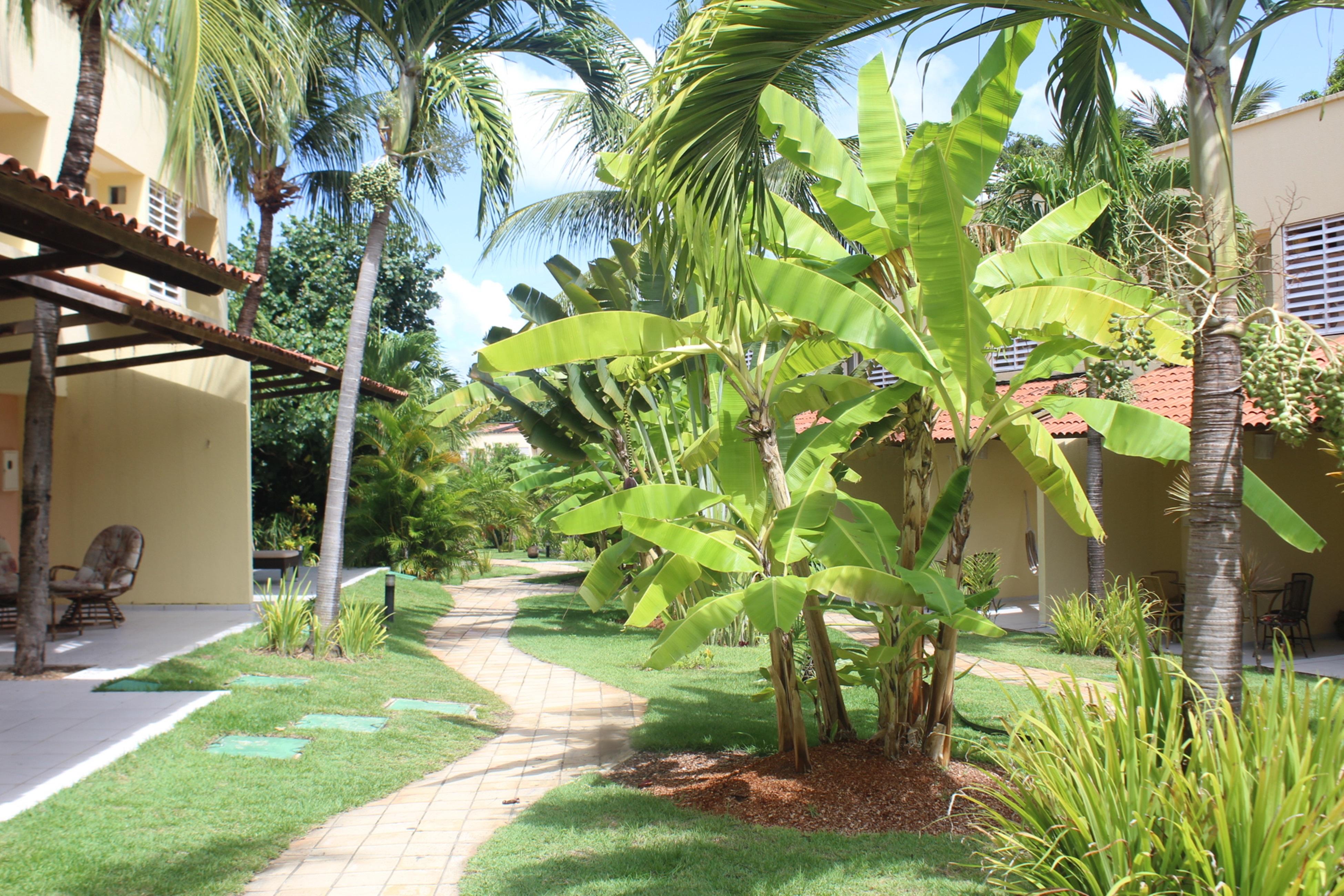 Hotel Pipa Atlantico Praia de Pipa Zewnętrze zdjęcie